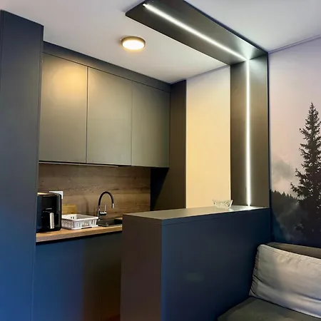 Jahorina Ski Apartment Jahorina